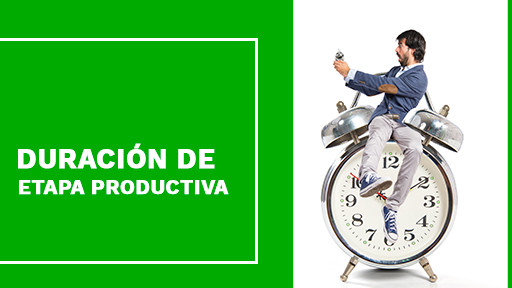 Duración